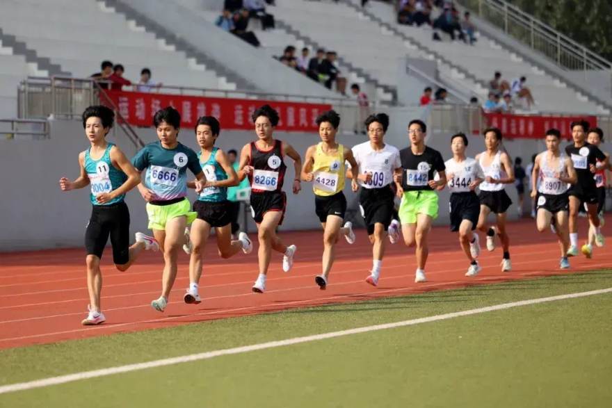 赛季中段服务需求观察：悟空体育项目服务五条线的数据侧写