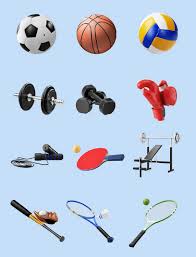 必一运动bsport体育 健身室内塑形